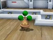Bonsly en Pokémon XD
