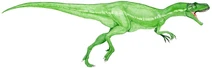 Neovenator