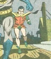 Robin Earth-178 001.jpg