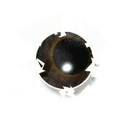 Whale Eye.png