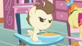 Pound Cake mad S2E13.png