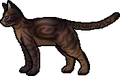 Rainswept Flower.rogue.png