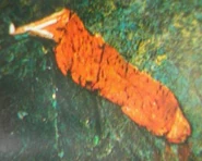 Img 702162 2649036 7
