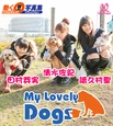 MyLovelyDogsCaptainMeimiMizuki
