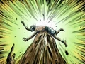 The Gecko defeated.png