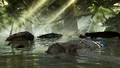 Dead-island-riptide-drowners1.jpg