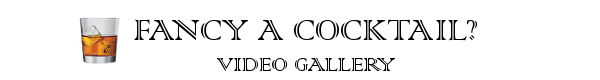 VIDGAL2