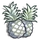 Albino Pineapple-icon