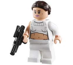 Padmegeonosis1