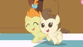 Pound & Pumpkin Cake we're running S2E13.png