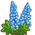 Blue Lupin-icon