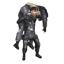 Carryingbody
