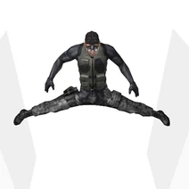 Splitjump
