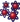 Atom Shower