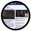 Front-speculah