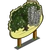 Crack Willow Tree
