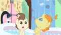 Pound & Pumpkin Cake bubble is gone S2E13.png