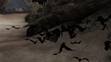 Bats