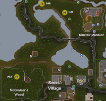 Fairy Rings to get to Seers' Village