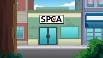SPCA