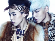 GDTOP5