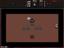WTF