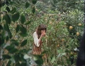 Sarah Jane Smith picking oranges.jpg