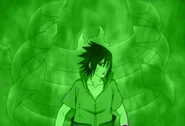Taiga Susanoo Ribcage