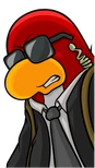 Penguin577