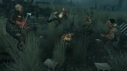 Swampfolk Hoedown