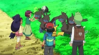 EP762
