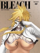Bleach Vol. 54 Cover