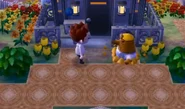 Resetti NewLeaf