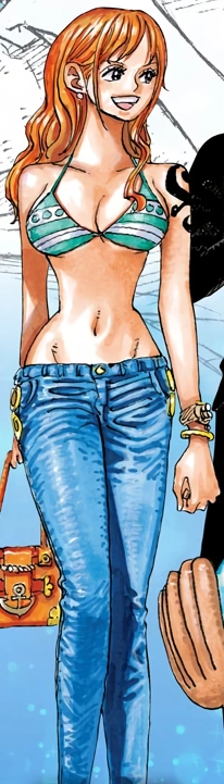 Nami/Misc. - The One Piece Wiki - Manga, Anime, Pirates, Marines ...