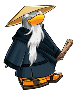 Nuevo sensei