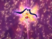 Musa Enchantix