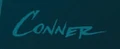 Amanda Conner Signature