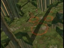 Just in Time Pulsation in the Forest Sector image 1
