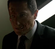 220-Renard woged