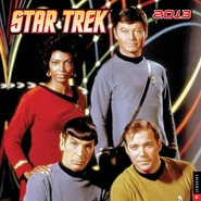 Star Trek Calendar 2013 cover