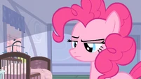 Pinkie Pie take their nap S2E13