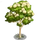 Desert Bloodwood Tree-icon
