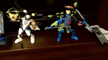 IMG 00000234