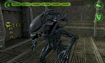 Screenshot 2013-05-10-09-43-12