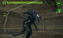 Screenshot 2013-05-10-09-43-58
