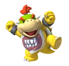 Bowserjr MP9