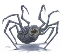 Talarian hook spider Decipher