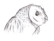 The High Tyto