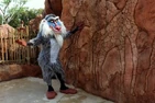 Rafiki