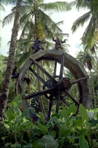TrioIntheWheelPromo